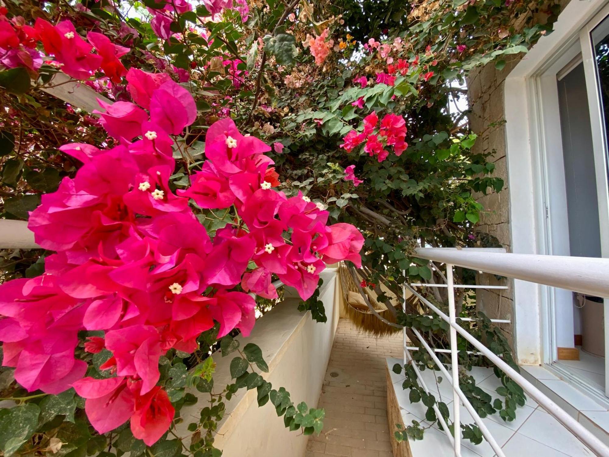 Aparthotel Terra Kriola Sal Rei Exterior foto